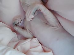 -北京恒爱动物医院(清景园分院)