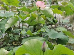 -东钱湖旅游度假区