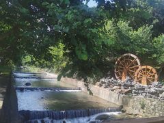 -广州白江湖森林公园