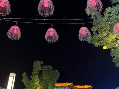 -鼎盛王朝康熙大典实景演出