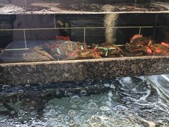 -宴周康·精致江浙菜(周浦店)
