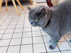 -ID.PHOTO照相馆(嘉里企业中心店)