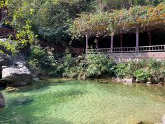 -南海湾森林生态园