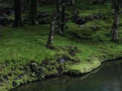 -西芳寺(苔寺)