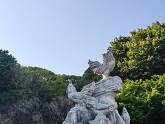 -金鸡山公园
