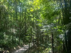 -凤栖山