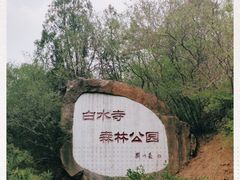 -白水寺森林公园