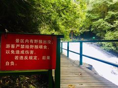 -湖州龙王山景区
