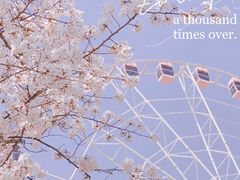 -顾村公园