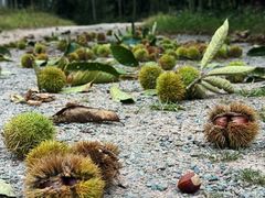 -楠溪江风景名胜区