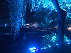 -西湖外事游船(花港观鱼码头)