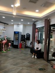 -YESIDO椰岛造型