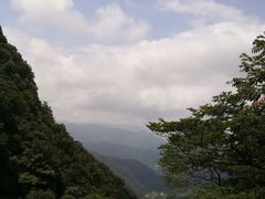 -王顺山国家森林公园