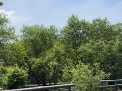-西湖风景区-江洋畈生态公园