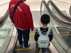 -香港皇家太平洋酒店