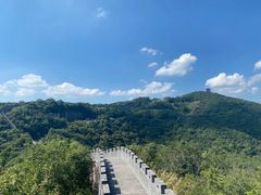 -黄贤森林公园