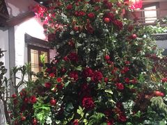 -浩海火烧云傣家菜(京广店)