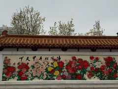 -神州牡丹园