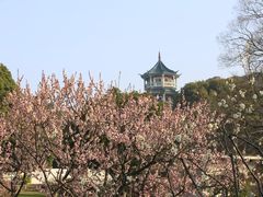 -无锡梅园公园