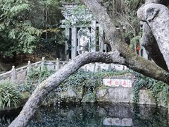 -蝴蝶泉公园
