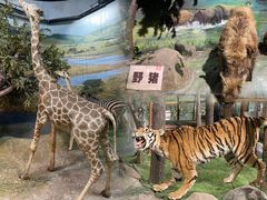 -吉林省自然博物馆