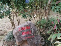 -中国科学院西双版纳热带植物园
