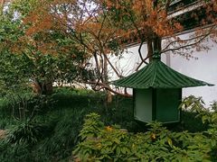 -秋霞圃