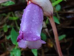 -天芳悦潭度假村温泉