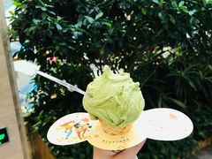 -野人先生现做冰淇淋(西安赛格店)