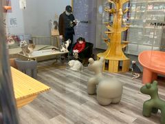 -BABIT巴比特宠物(MOMOPARK店)