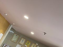 -爱侣·安琦尔宠物医院·中兽医针灸·心内科·狂犬免疫点(宝山区院)