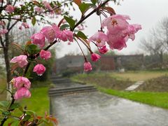 -武汉园博园(武汉自然博物馆)