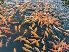 -长春市南湖公园