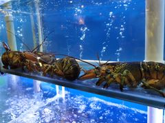-启东小海鲜(庄先湾路1号店)