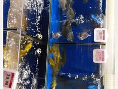 -昌大昌(清远顺盈店)