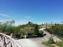 -军营村