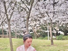 -南山植物园