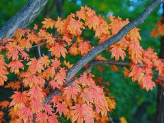 -丹东凤凰山景区