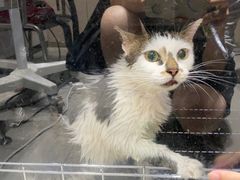 -宠颐生动物医院·小陆分院