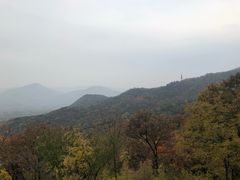 -北京鹫峰国家森林公园