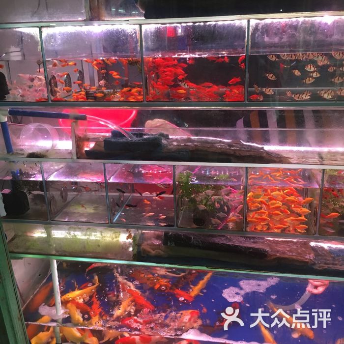 佳宝水族馆