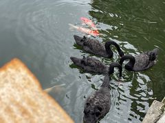 -茵特拉根酒店·西餐厅