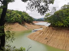 -广州市流溪河国家森林公园