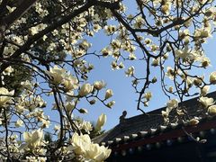 -万寿八仙宫