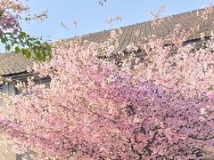 -杨家埠民间艺术大观园