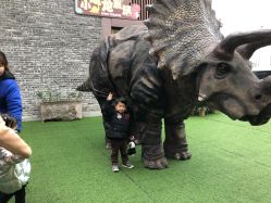 -恐龙探索乐园(磁器口店)