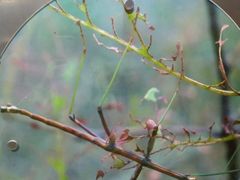 -上海昆虫博物馆