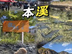 -马家烧麦(总店)