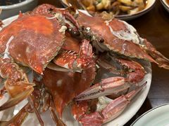 -红灯笼龙凤饭店(宁波老字号店)