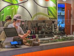 -油梨树 AVOCADO TREE(亮马桥店)